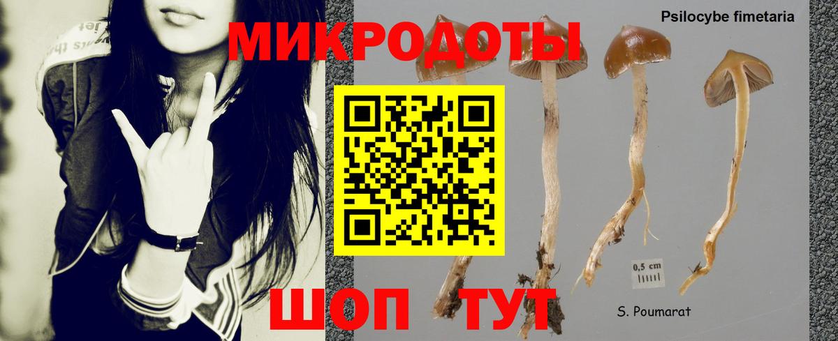Галлюциногенные грибы мицелий  Вход с VPN  Медногорск 